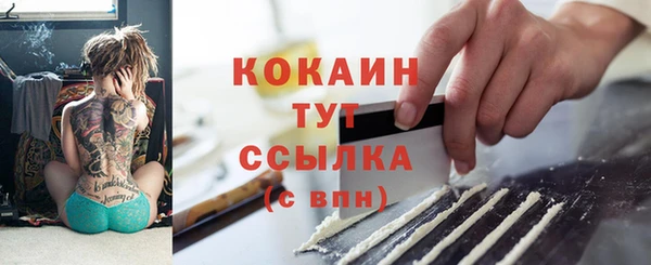 метадон Новодвинск