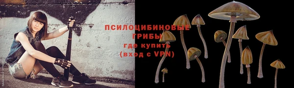 а пвп мука Новокубанск
