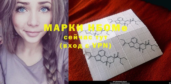 метадон Новодвинск