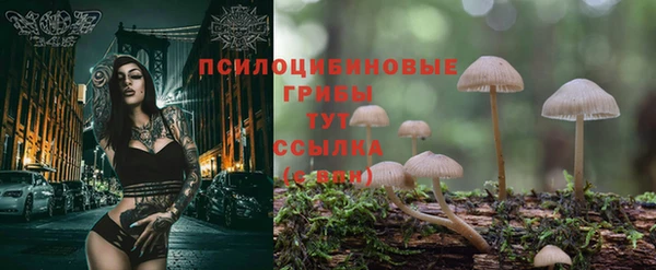 меф VHQ Новозыбков