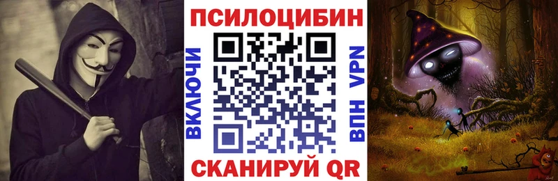 Галлюциногенные грибы GOLDEN TEACHER  Купить закладки  Томск 